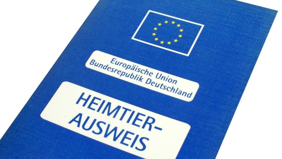 züchter eu heimtierausweiß