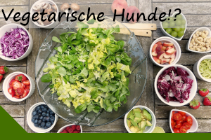 Vegetarisch/Vegane Ernährung beim Hund