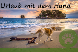 Urlaub mit Hund – 12 Tipps und worauf zu achten ist