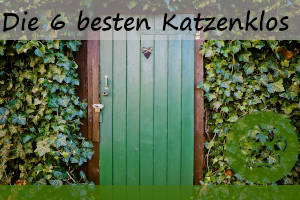 Die 6 besten Katzenklos