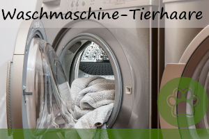 Tierhaare aus der Waschmaschine entfernen – die 12 besten Tipps