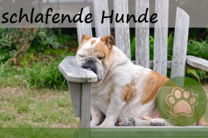 Schlafende Hunde wecken – aus diesen 3 Gründen lieber nicht!