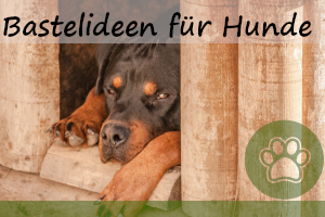 Bastelprojekte für Hundebesitzer – 4 coole Ideen