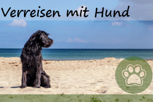 Verreisen mit Hund – 7 Dinge die man braucht/Checkliste