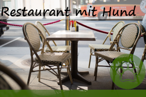 Restaurant mit Hund – 5 super Tipps