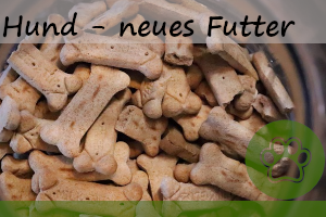 Woran erkennen ob der Hund das neue Futter verträgt?